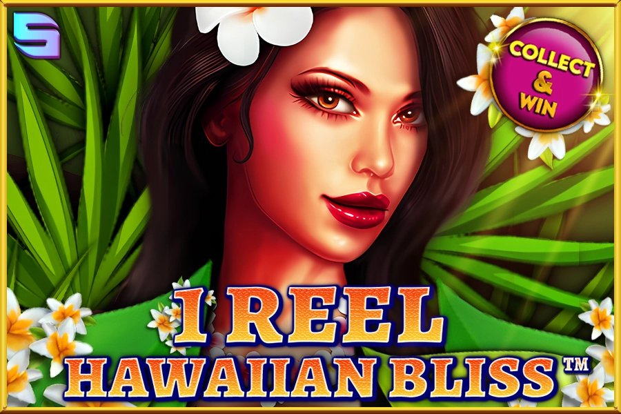 Hawaii slot game
