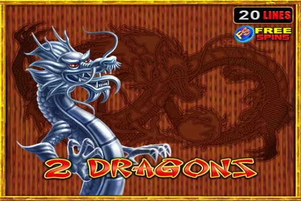 2 Dragons slot game