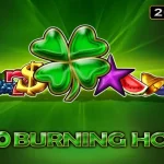20 Burning Hot slot game