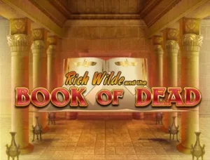 Book of Dead slot game
