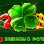 100 Burning Power slot game