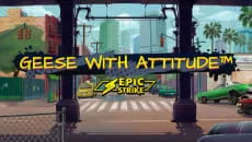 Geese with Attitude slot game
