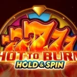Hot to Burn Hold & Spin slot game