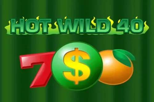 Hot Wild 40 slot game